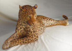 Un leopardo a Portofino