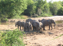 Frivola Miniguida dei 192 Paesi Membri ONU: Nigeria-Palau