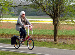 Amsterdam In bici in libertà