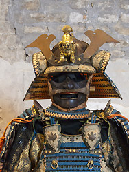 Samurai Suji-bachi kabuto a 24 piastre firmato Joshuju Saotome Ieharu