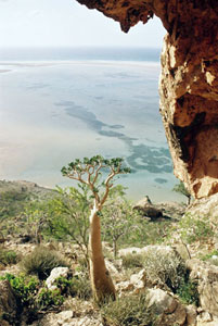 Yemen La vista che si gode dall'alto di Socotra, la più grande delle isole yemenite