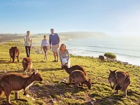 Kangaroo Island, il luogo ideale per famiglie in Australia