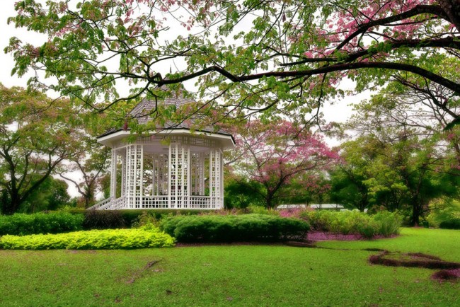 Singapore, i Botanic Gardens sono Patrimonio Unesco
