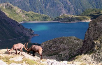 val d'aosta saint vincent