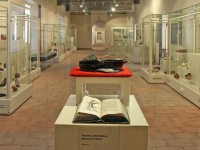 Museo della Calzatura