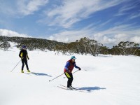 Sciare in Australia? Nel Victoria si può!