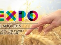 Expo e la fame nel mondo