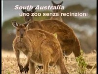 South Australia 2. Kangaroo Island