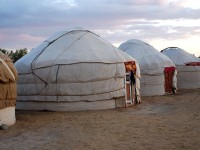 Uzbekistan Campo di yurte nel deserto del Kyzilkum © Micaela Zucconi