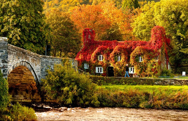 La verde Irlanda si tinge con i colori dell’autunno