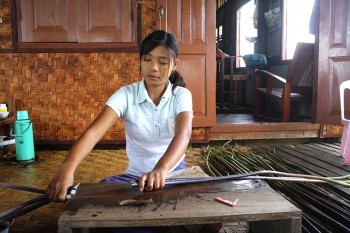Bagan ragazza lavorazione fibre foglie loto
