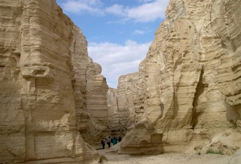 Israele_canyon_deserto_Zin