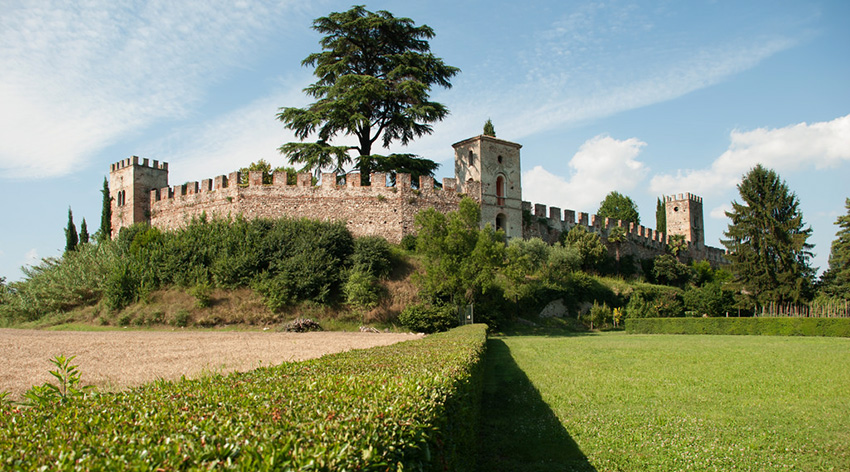 castellaro Lagusello, il castello