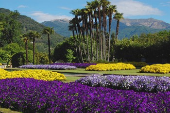 Giardini Botanici di Villa Taranto a Verbania - Pallanza