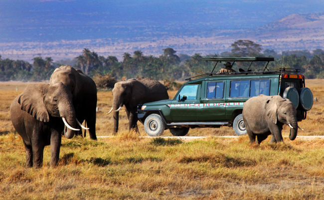 Milano, il Kenya porta il safari in centro città