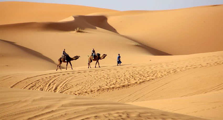 Africa Deserto Sahara Marocco