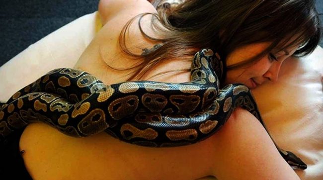 Luogo che vai massaggio che trovi: dai serpenti alle lumache