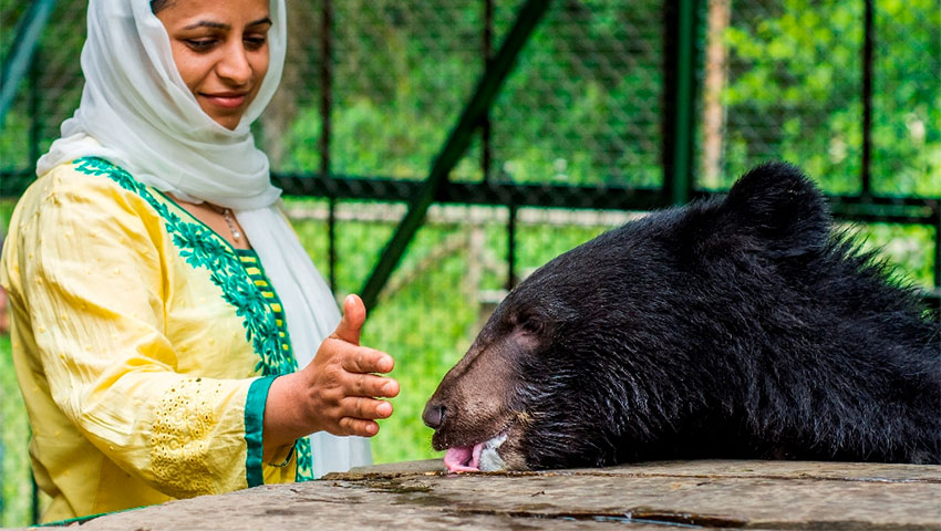 Agra India cosa vedere- Animali India-Wldlife-Soa-Sloth-Bear-Rescue-Center