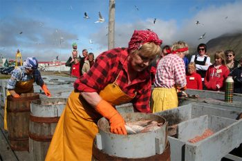  Siglufjordur-donne preparano-barili-di-aringhe