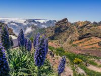 Madeira, Pico do Areeiro