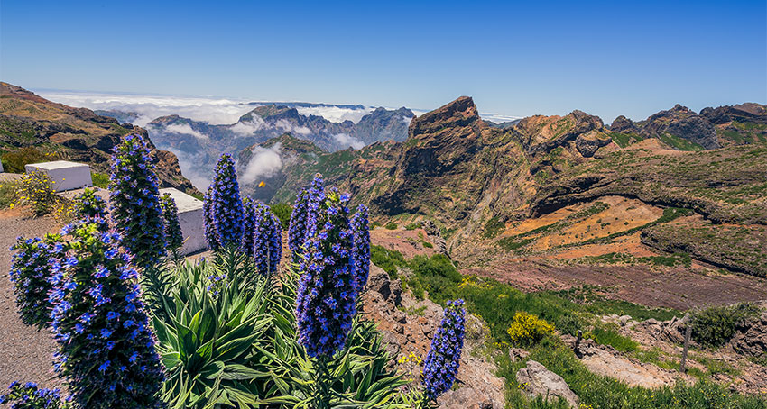 Arcipelago di Madeira, Pico-do-Areeiro