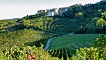 Primavera dei vini Rovescala-oltrepò-pavese