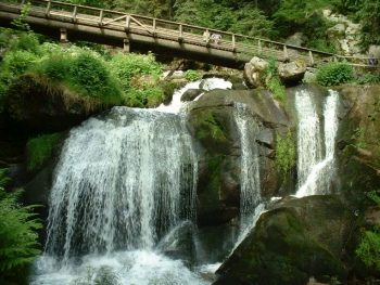 Foresta-Nera-strada-panoramica