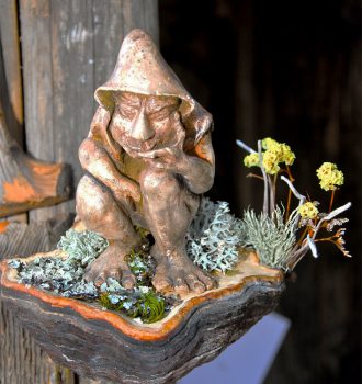 Guriuz-folletto-dei-boschi-(foto-Fabiano-Crisma)