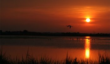 Emozioni Saline-di-Cervia-al-tramonto