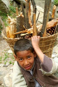 Harsil, un ragazzino trasporta della legna (foto: Aldo Pavan © Mondointasca)