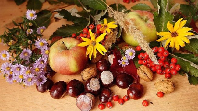 Castagne, tartufi e frutti di bosco per festeggiare l’autunno