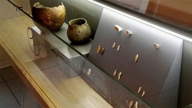 A Nardò apre il Museo della Preistoria: esposti i più antichi fossili di Homo Sapiens
