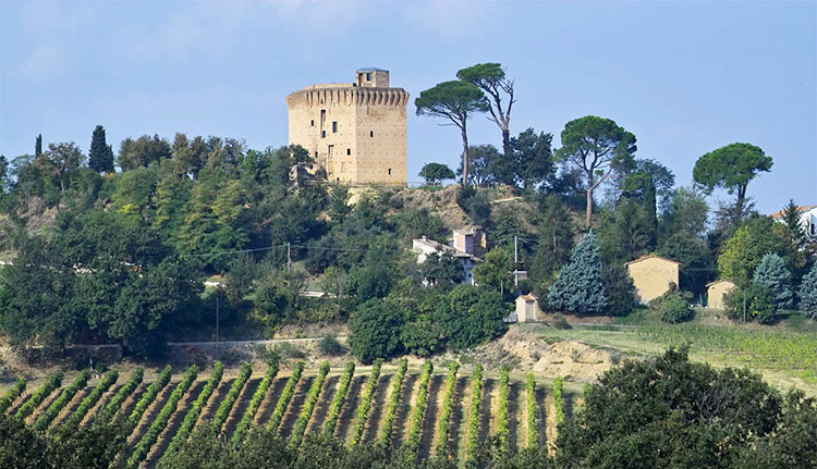 Grani e melograni Torre-di-Oriolo-Faenza