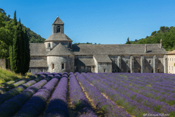 Francia Provenza-Luberon-Abbaye-de-Sénanque ©P.Giraud