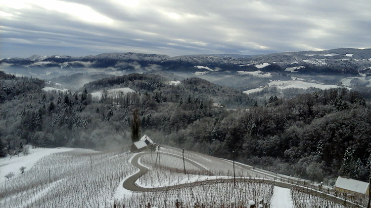 Stiria Slovenia-un-cuore-tra-le-vigne