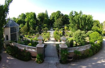 Patrimoni Unesco Giardino Botanico Padova