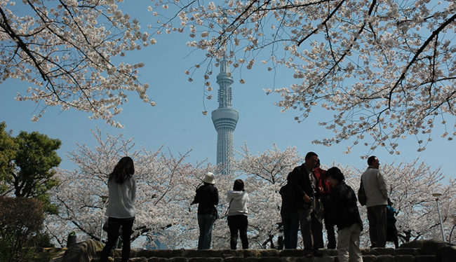 Tokyo Sky Tree ©TCVB