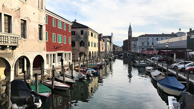 Radicchio di Chioggia Canal Vena-e-i-bragozzi