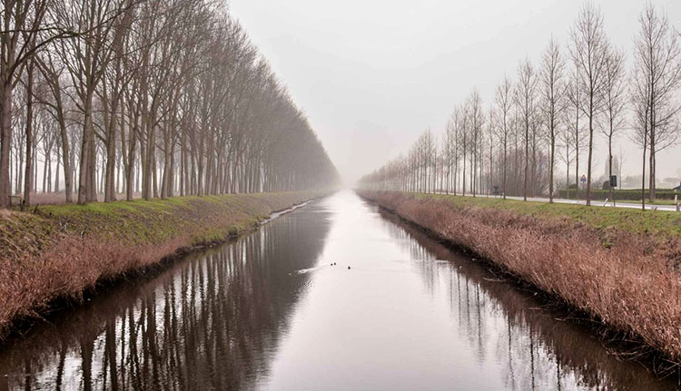Bruges canale-5910
