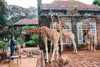 Giraffe-Manor Nairobi