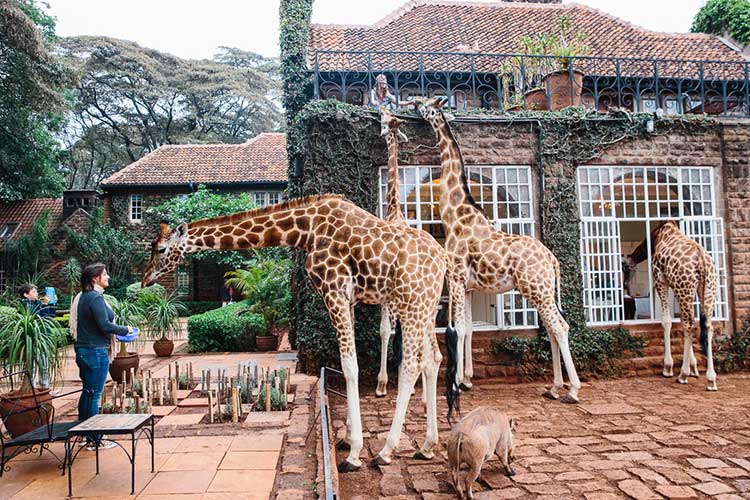 hotel stravaganti Giraffe-Manor Nairobi