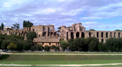 Roseto comunale Circo-Massimo-e-Palatino