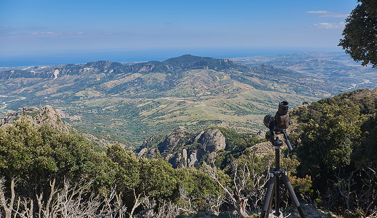 Aspromonte Piani-di-Carmelia-Birdwatching-sulle-rocce-Smaledette