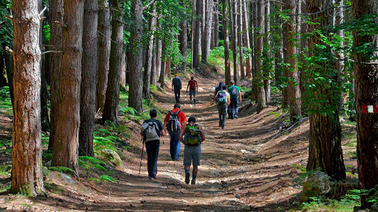 Aspromonte escursionisti_Gea_sentiero_brigante