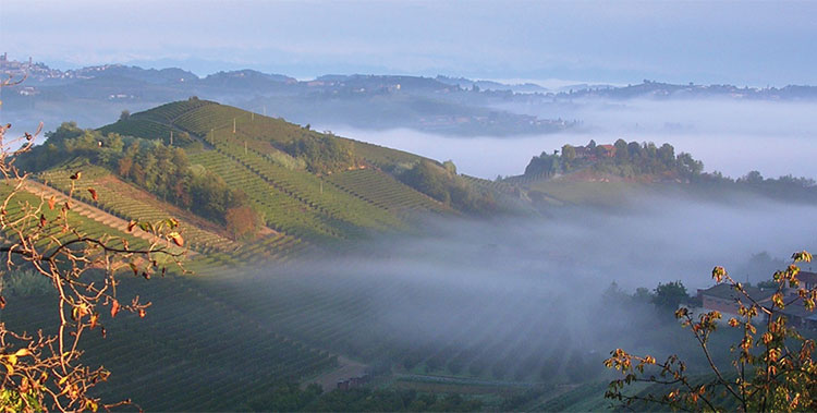 Pinsoglio Paesaggio tipico del Roero