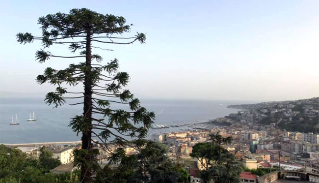 Villa Belvedere Carafa con vista sul Golfo di Napoli