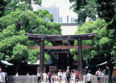 Tokyo in 48 ore Meiji Jingu Shrine (C)TCVB