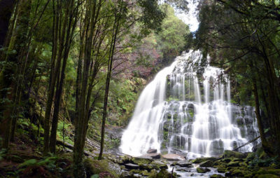 Tasmania-nelson-falls