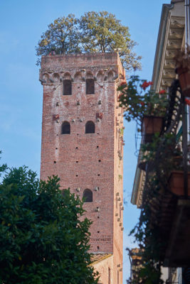 Torre Giunigi sormontata da lecci (foto: © emilio dati - Mondointasca.it)