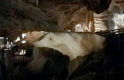 Grotte di Frasassi l'orsa (foto: pietro ricciardi © mondointasca.it)